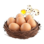 Ovos Caipira e de Codorna